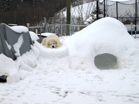 Januar 2010